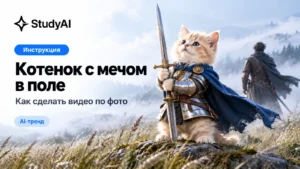 Котенок с мечом в поле: как сделать видео по своему фото
